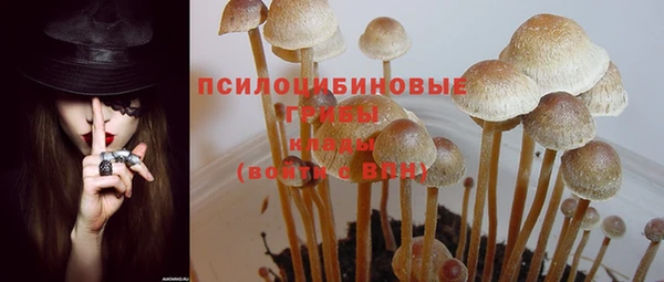 винт Абаза