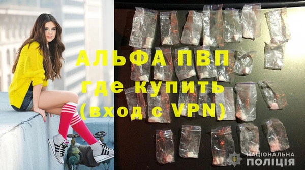 винт Абаза