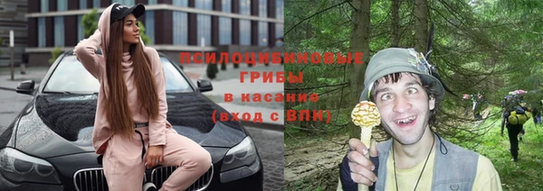 винт Абаза