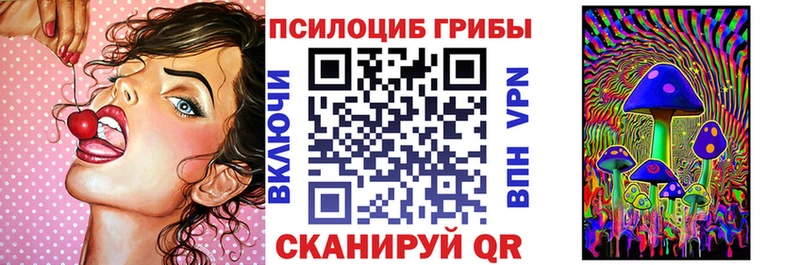 Галлюциногенные грибы мицелий  наркота  Липецк 