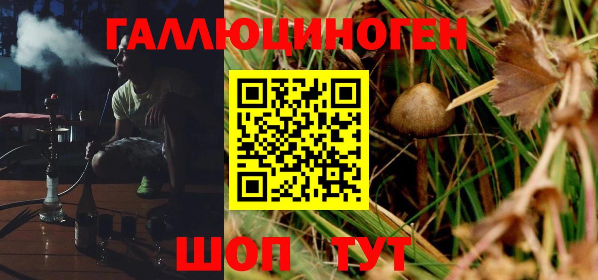 Галлюциногенные грибы Psilocybe  Псилоцибиновые грибы Psilocybe  Вход с VPN  Липецк 
